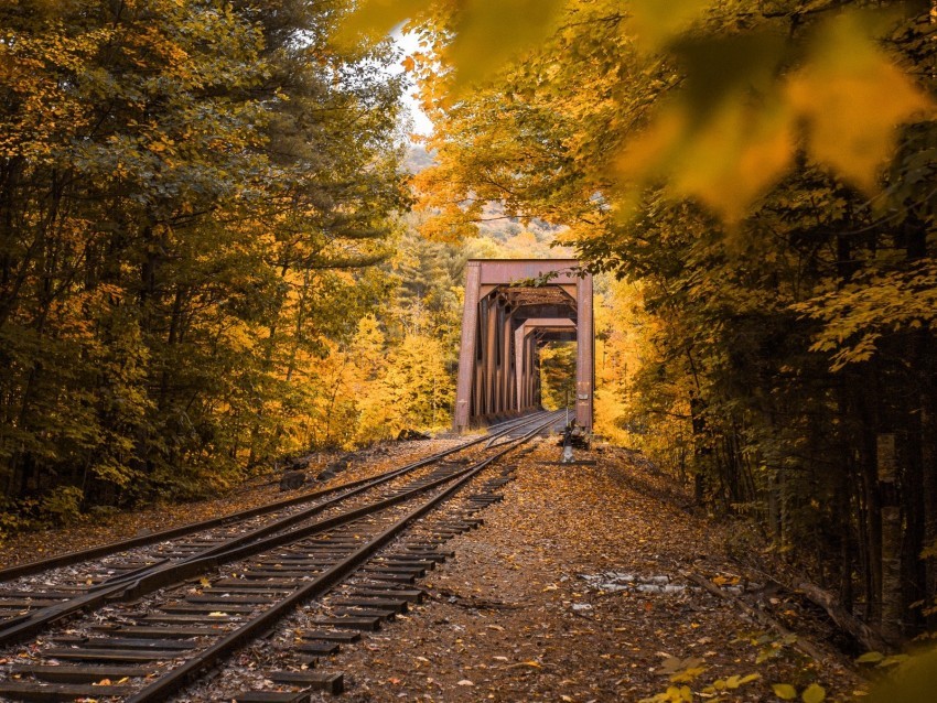 railway autumn foliage trees PNG transparent pictures for editing