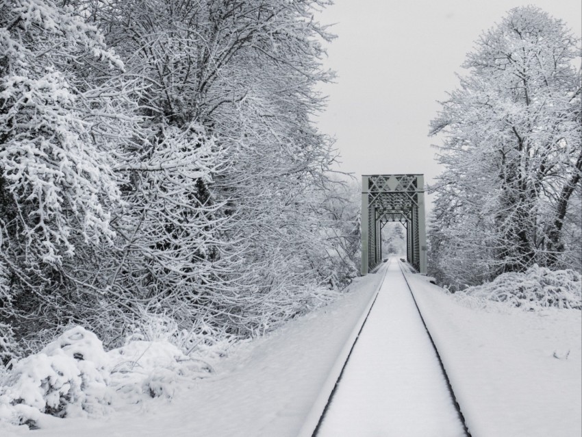 railway snow bridge trees winter Isolated Element in Clear Transparent PNG