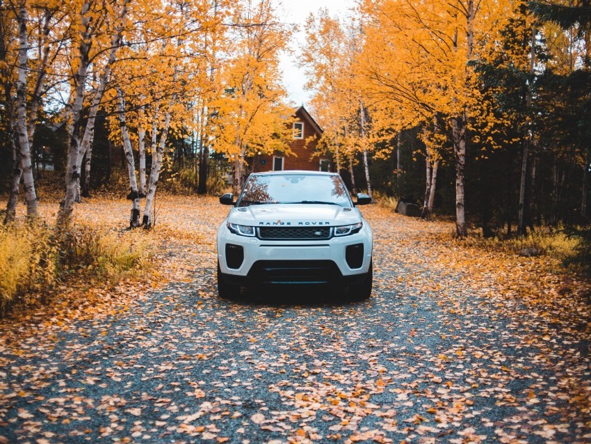 range rover land rover suv autumn front view Transparent graphics PNG 4k wallpaper