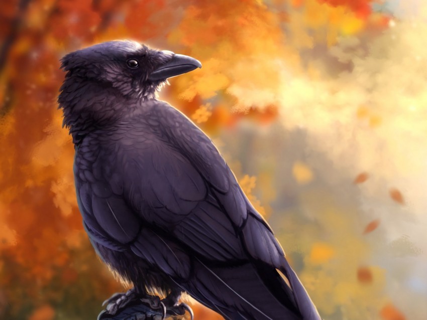 raven bird art black autumn HighResolution Isolated PNG Image