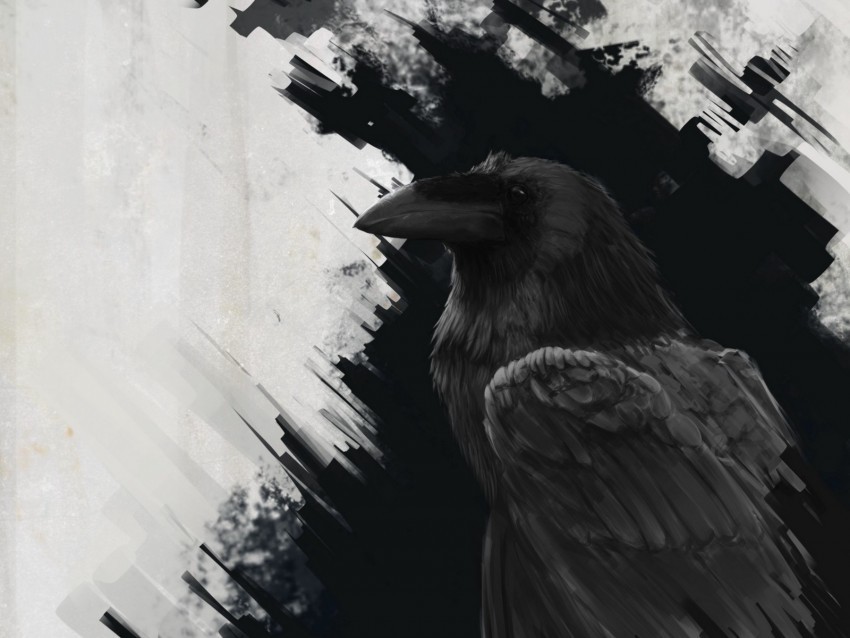 raven bird art black lines PNG photo