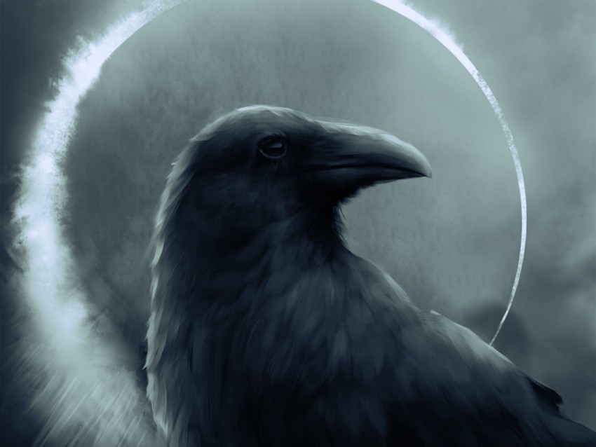 raven bird art dark circle Transparent PNG images bundle