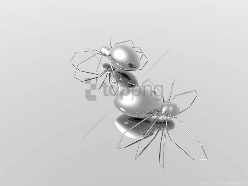 reflection shape silver spiders surface wallpaper Free PNG images with alpha channel variety