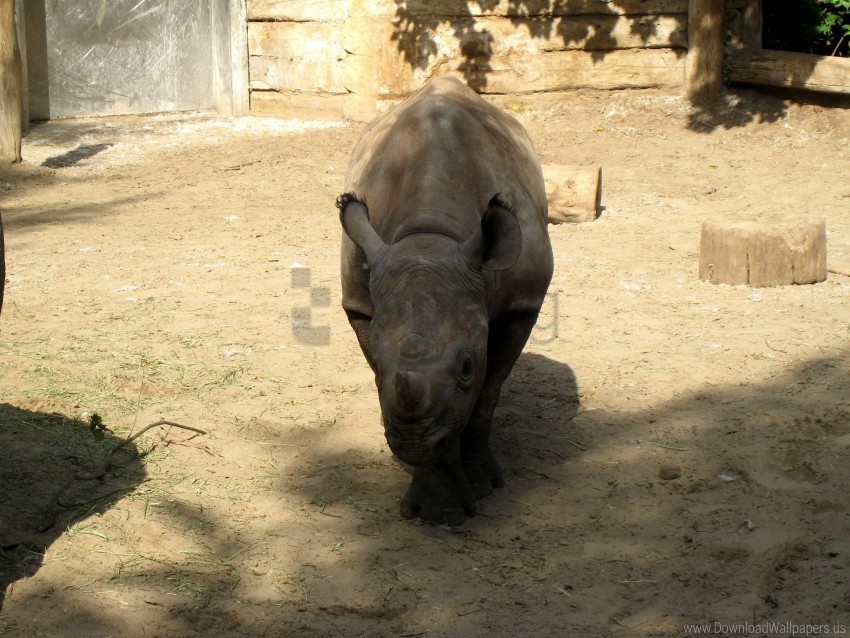 reserve rhino shadow wallpaper Isolated Subject in Transparent PNG Format