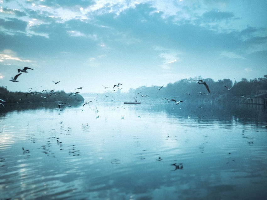 river birds flock fly sky boat reflection Transparent image