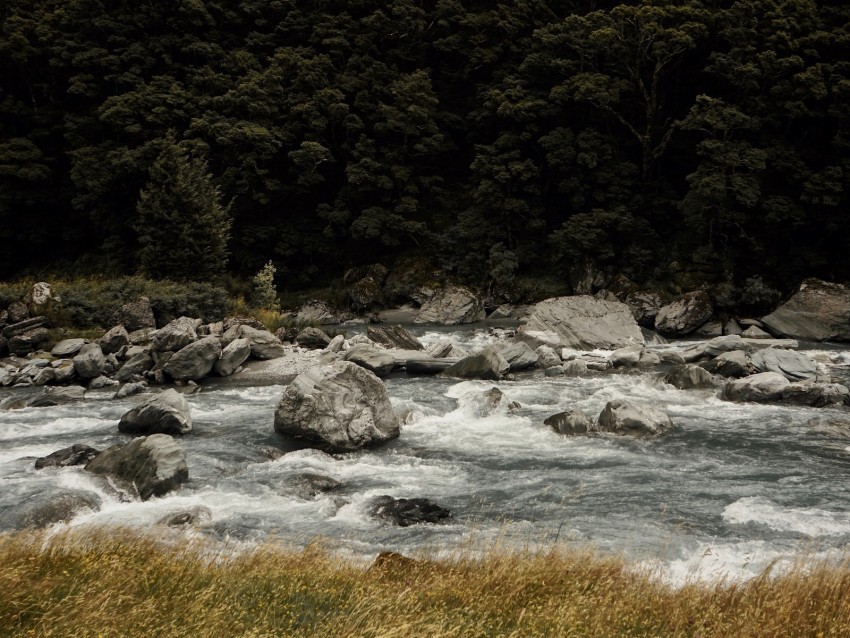 river current stones trees grass PNG for overlays