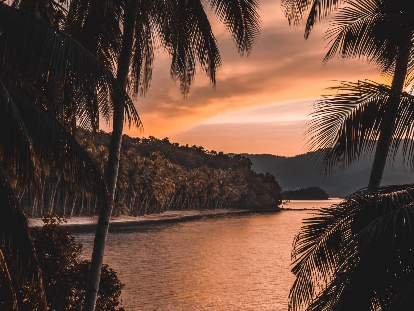 river palm trees twilight landscape tropical PNG transparent icons for web design