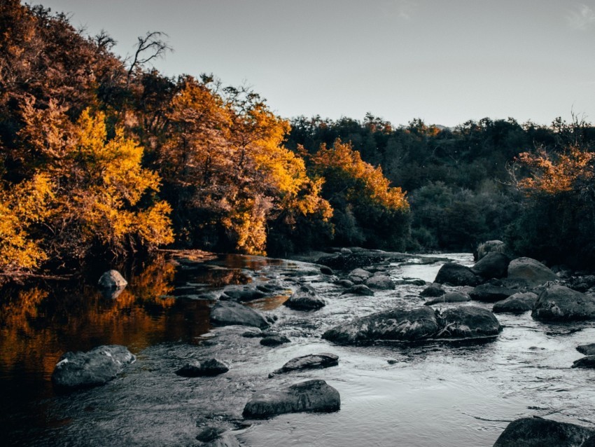 river stones trees water stream PNG images with transparent elements pack 4k wallpaper