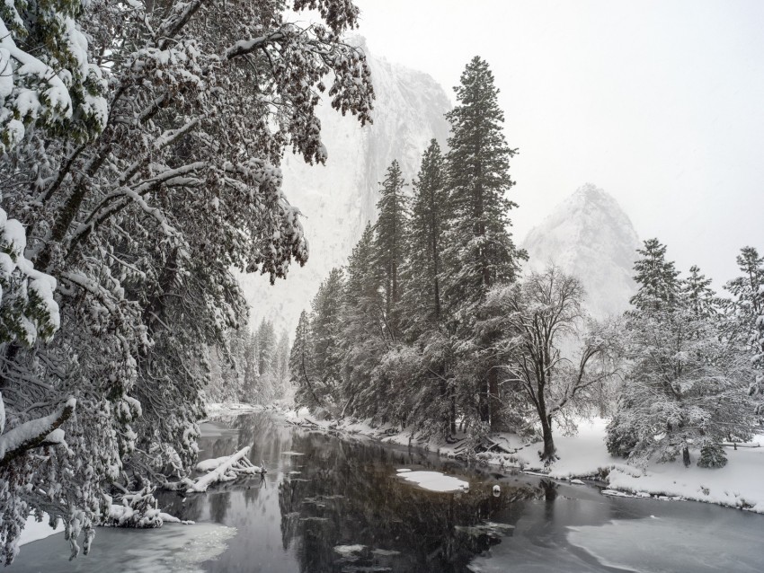 river trees snow mountains landscape winter Isolated Element on HighQuality PNG