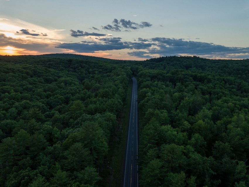 road aerial view forest horizon sunset Transparent PNG images collection