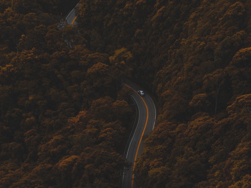 road autumn aerial view foliage forest Transparent PNG image