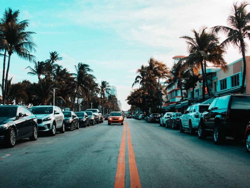 road cars markings palm trees sky Isolated Subject on HighQuality PNG 4k wallpaper