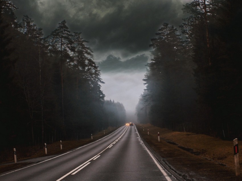 road fog clouds overcast cars trees PNG transparent images mega collection