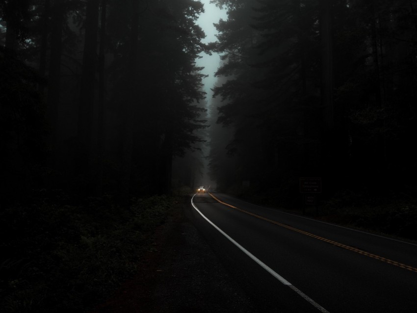 road fog lights trees dark night PNG photos with clear backgrounds 4k wallpaper