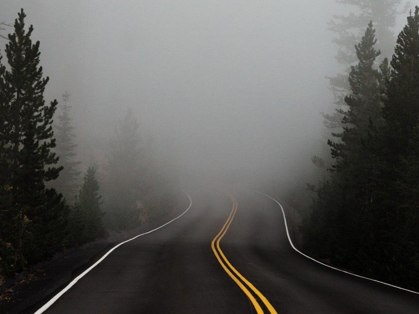 road fog marking asphalt turn trees PNG for design