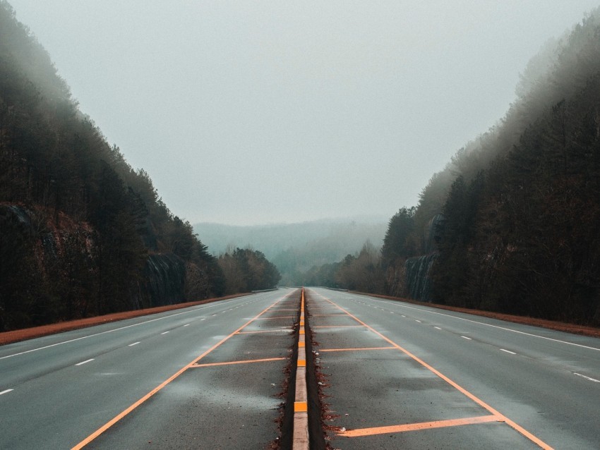 road fog marking trees lines Clear Background PNG Isolation