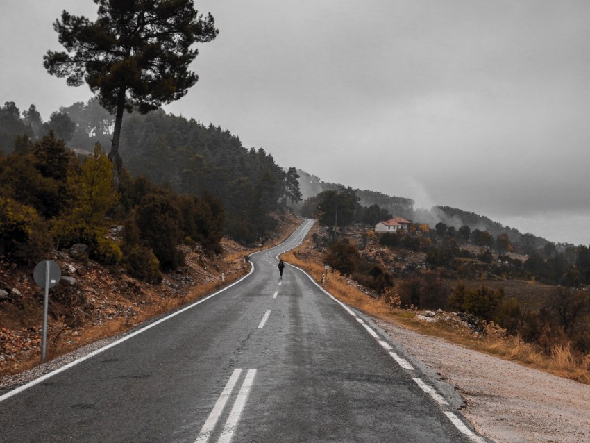 road fog silhouette loneliness tree PNG images with no attribution