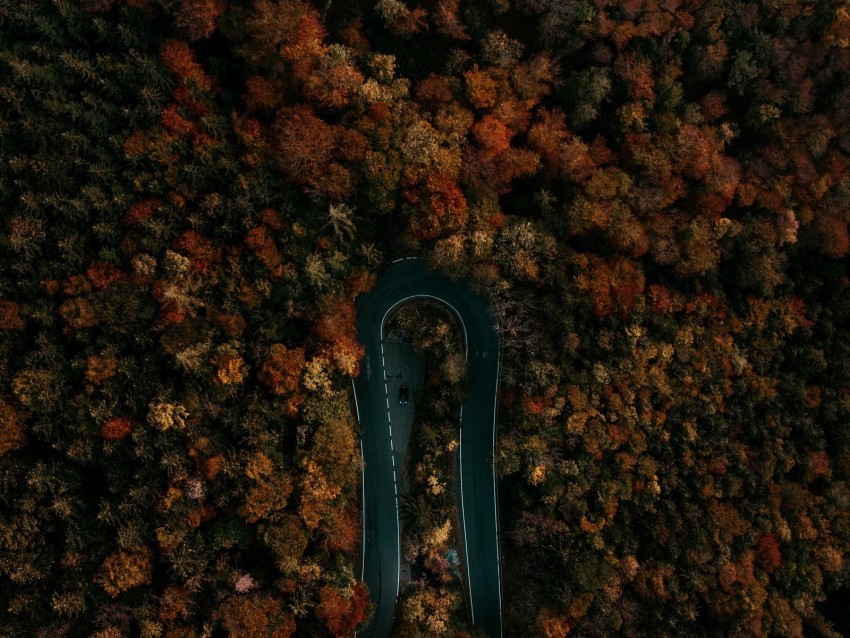 road forest aerial view turn trees tops Free PNG images with transparent background