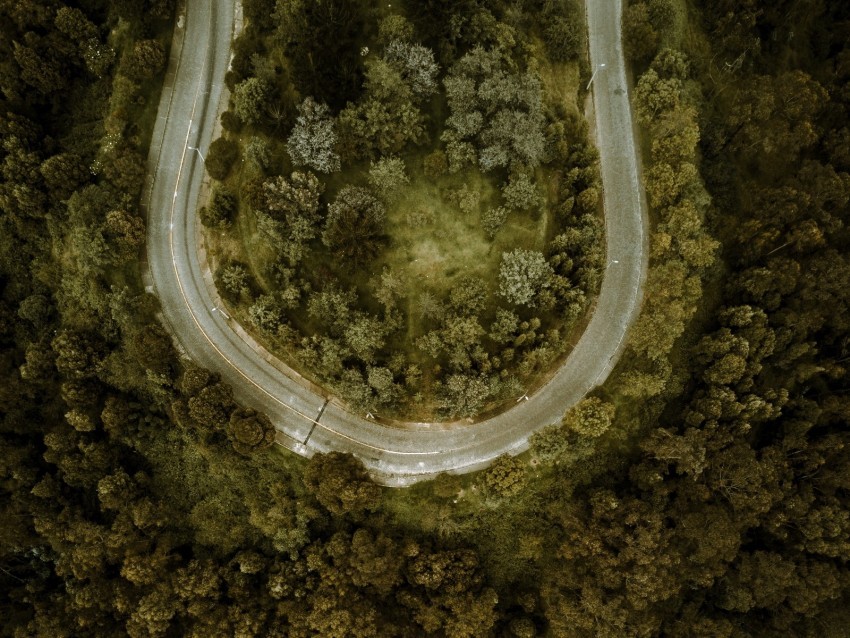 road forest aerial view turn winding PNG Image with Transparent Isolation