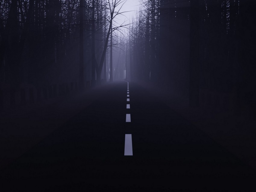 road forest fog mist trees dark High-resolution PNG images with transparent background