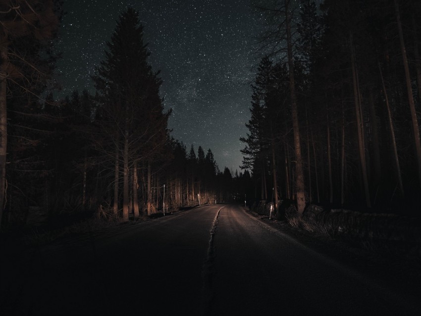 road forest night starry sky turn High-quality transparent PNG images 4k wallpaper