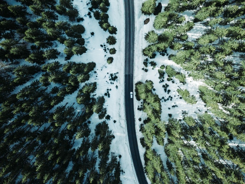 road forest snow trees aerial view Isolated PNG Item in HighResolution 4k wallpaper