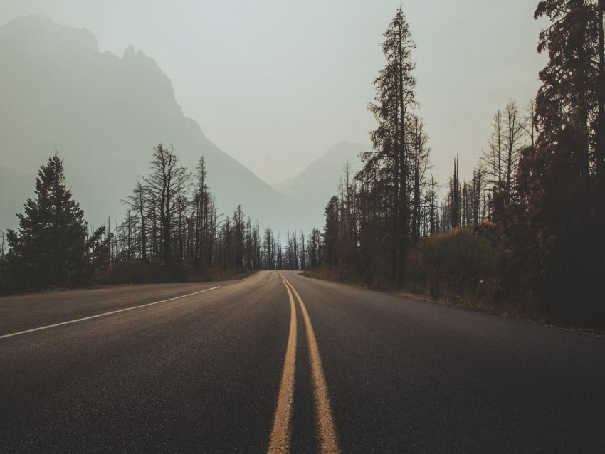 road marking fog trees sky turn HighQuality Transparent PNG Element