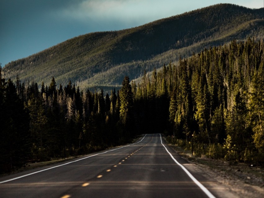 road mountain forest direction marking sky PNG format with no background 4k wallpaper