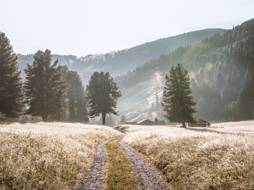 road mountains fog trees landscape Free transparent background PNG