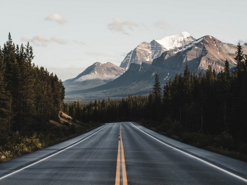 road mountains forest asphalt landscape PNG Graphic Isolated on Clear Background