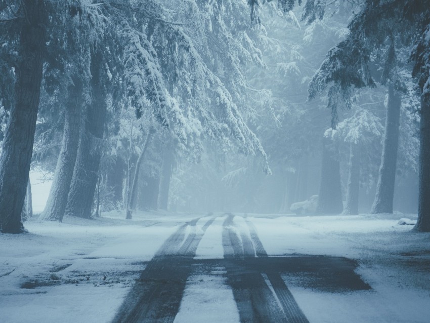 road snow fog winter trees traces PNG file without watermark