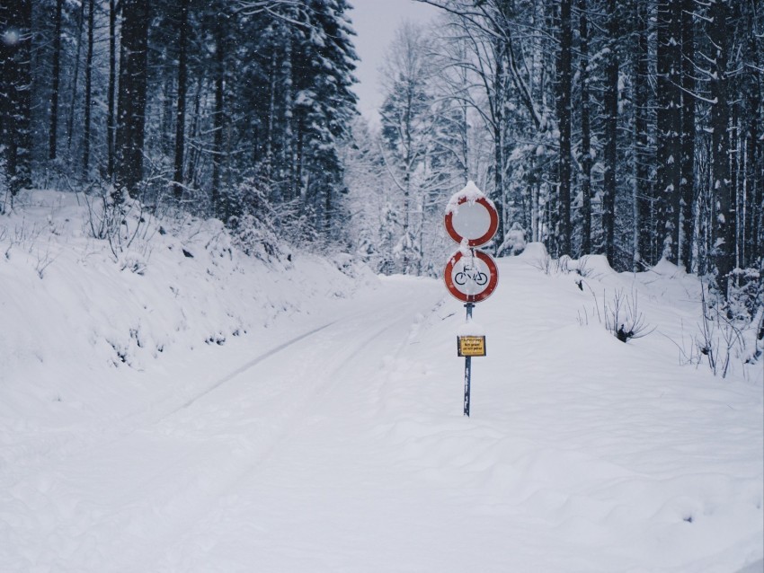 road snow winter pointer forest Clear PNG graphics 4k wallpaper