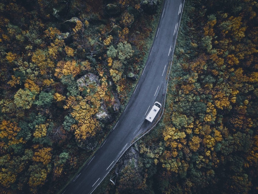 road top view trees autumn car PNG with no background required 4k wallpaper