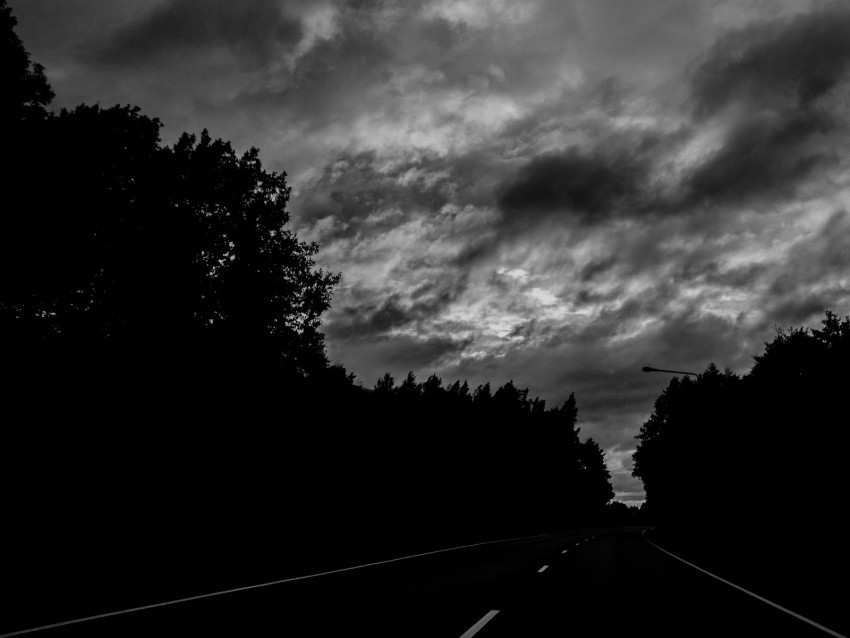 road trees dark turn bw PNG no watermark 4k wallpaper