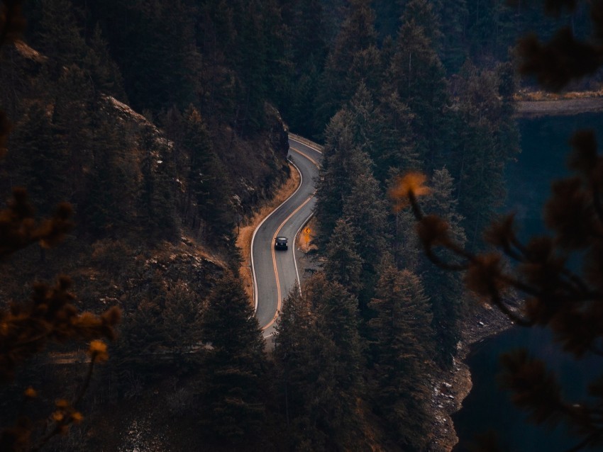 road trees river aerial view PNG without watermark free 4k wallpaper