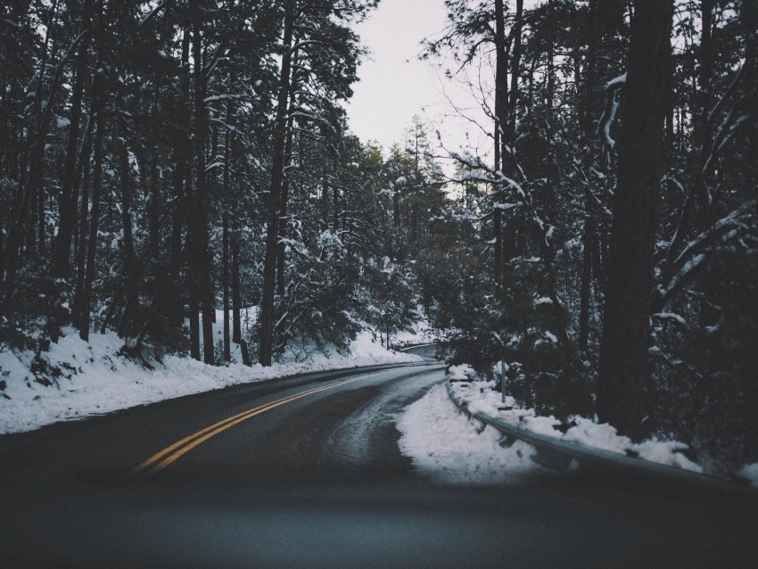 road turn trees snow asphalt Isolated Item on HighQuality PNG