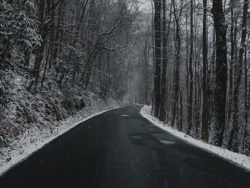 road turn trees snow overcast Transparent Background Isolated PNG Design Element