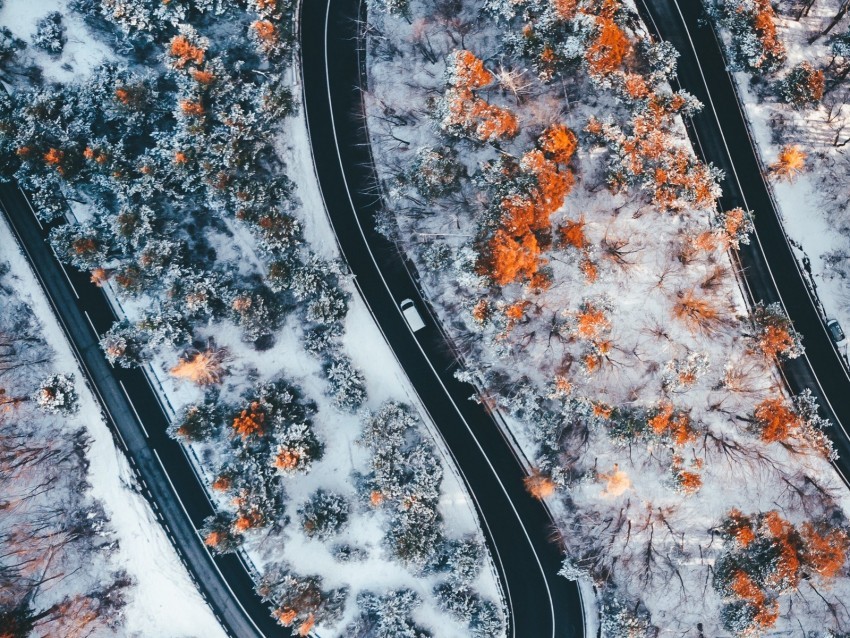 road winding trees snow panorama aerial view zigzag Transparent PNG images complete package 4k wallpaper