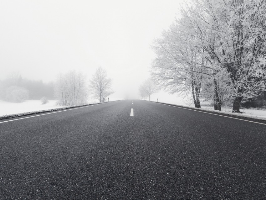 road winter bw snow fog trees direction Isolated Object on HighQuality Transparent PNG