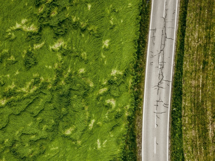 roads aerial view greens grass asphalt PNG graphics for presentations 4k wallpaper