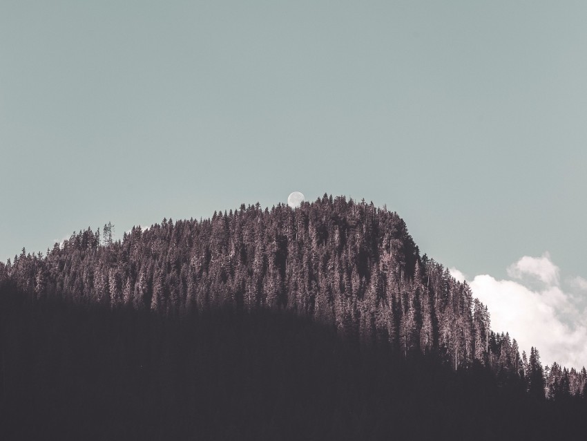 rock forest trees shadow moon landscape Isolated Item on Clear Background PNG