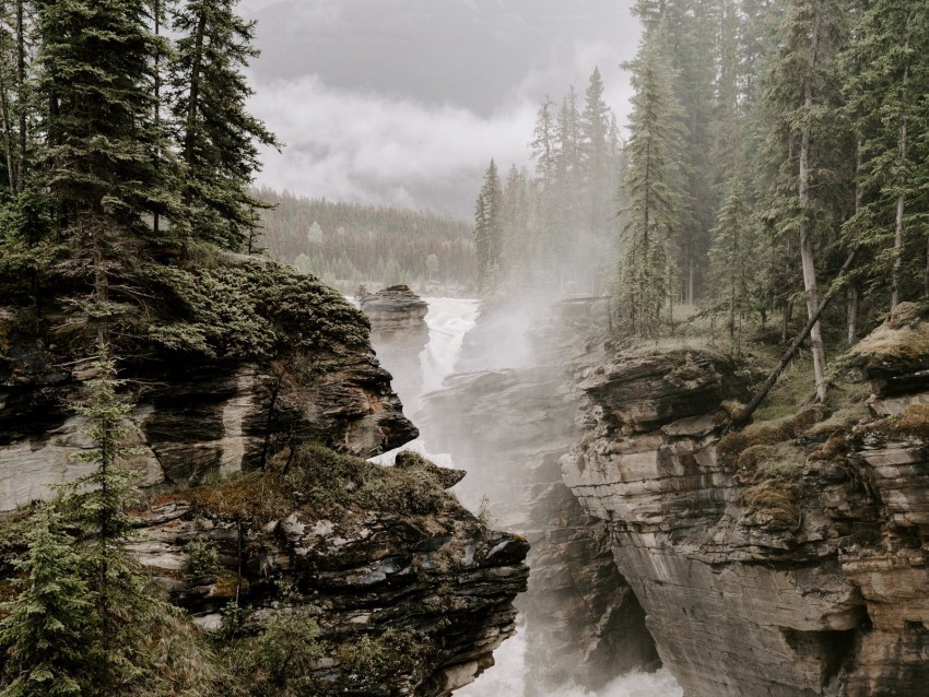 rocks river fog trees cliffs Transparent Cutout PNG Graphic Isolation