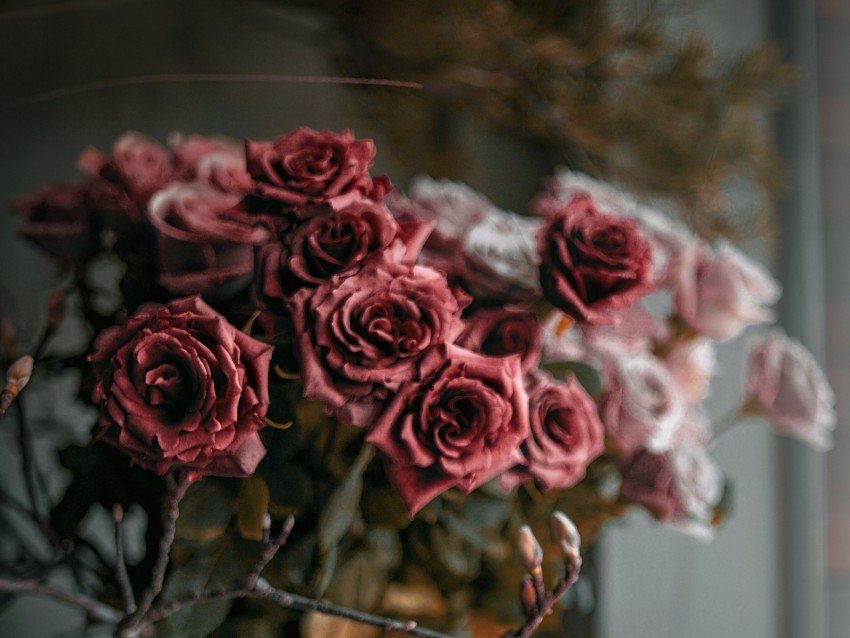 roses flowers bouquet red pink PNG for personal use