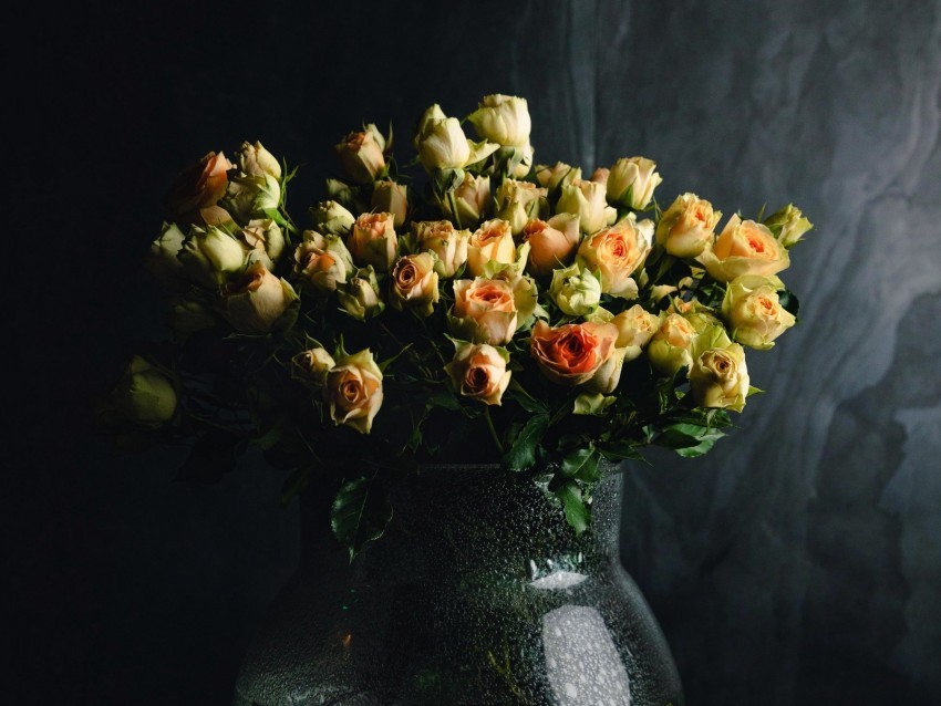 roses flowers bouquet vase dark PNG with transparent bg