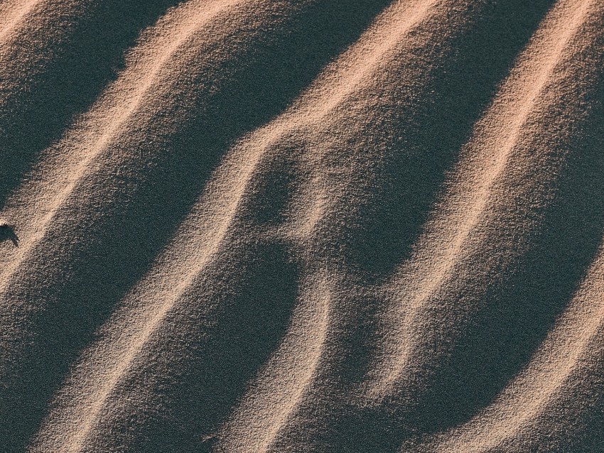 sand dunes desert relief PNG Graphic with Isolated Clarity 4k wallpaper