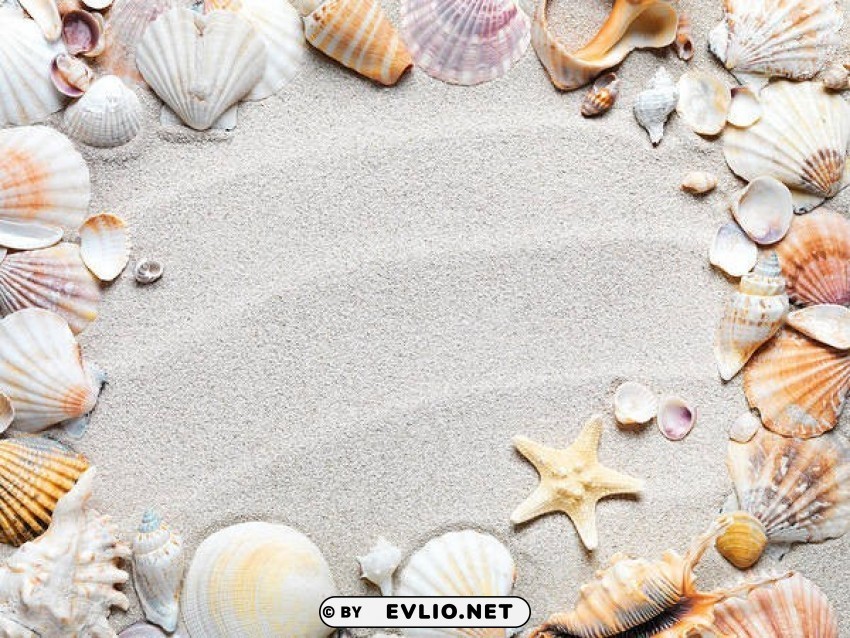 sand with shells High-resolution transparent PNG images comprehensive assortment