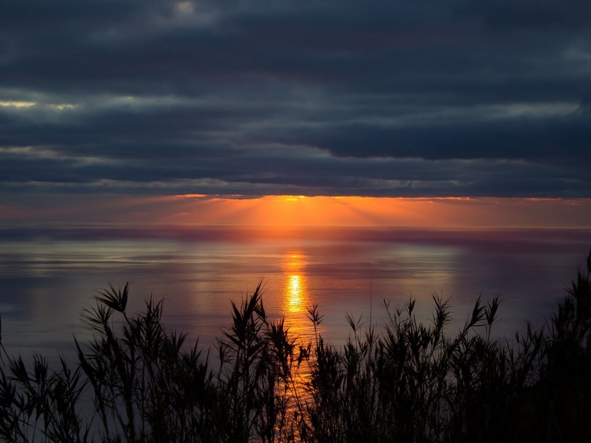 sea horizon sunset clouds grass twilight Clear PNG graphics