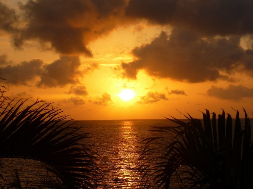sea sunset twilight sun reflection leaves clouds PNG images for mockups 4k wallpaper