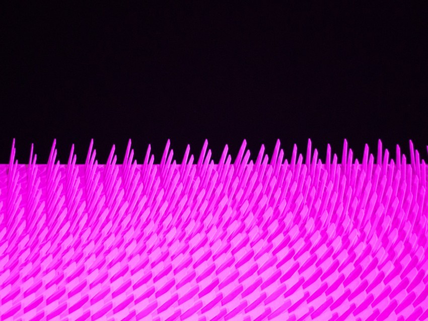 shape line pink black Transparent PNG Isolated Item 4k wallpaper