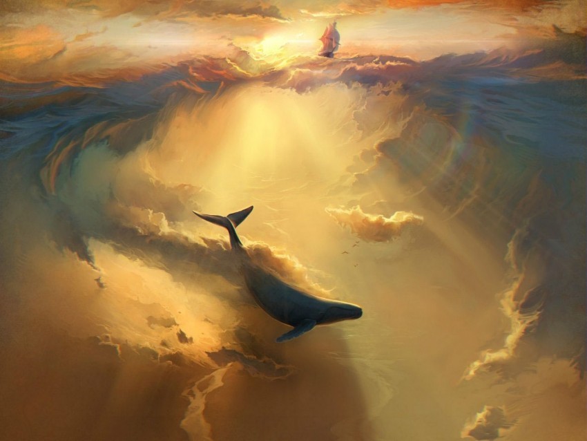 shark dolphin sea art underwater world HighResolution PNG Isolated Artwork 4k wallpaper